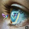 anarin83